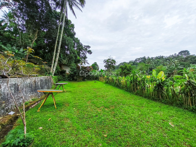 Kampung Ciliwung Riverside
