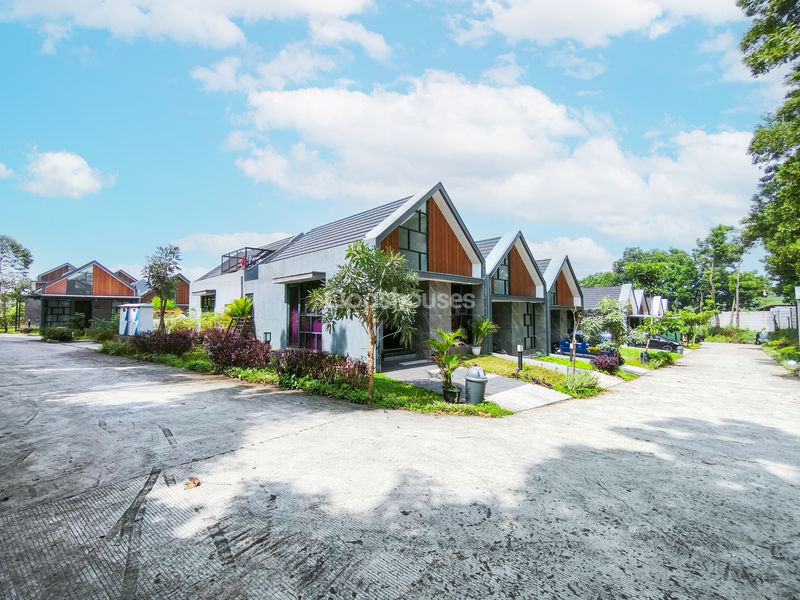 Cluster Golden Cikeas 