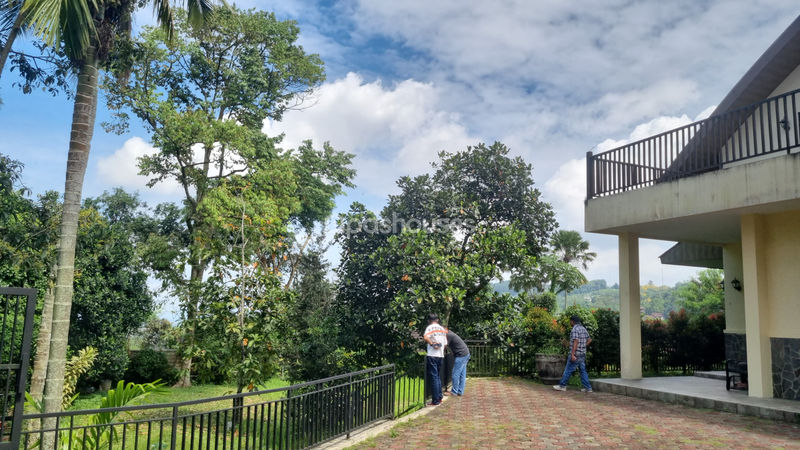 Jalan Raya Puncak Cibogo II