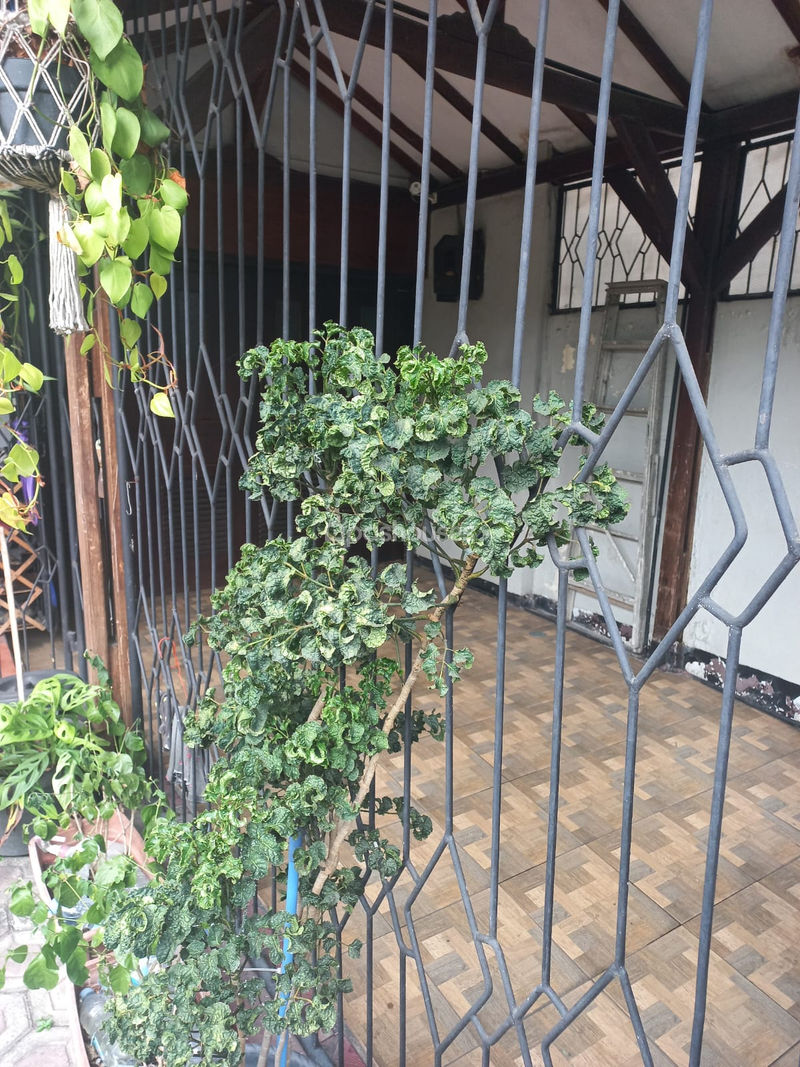 Taman Cimanggu Tengah Blok U No.6