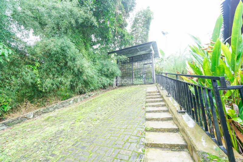 Villa Saung Ibu Bogor