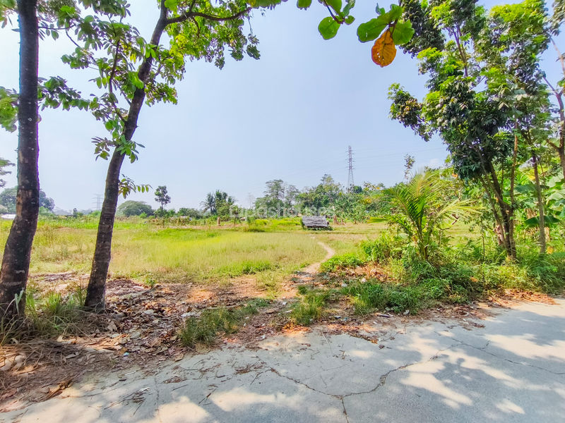 Jalan Kembang Kuning Bogor