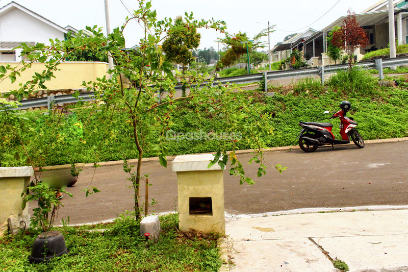 Perumahan Citra Indah Cluster Bukit Melia