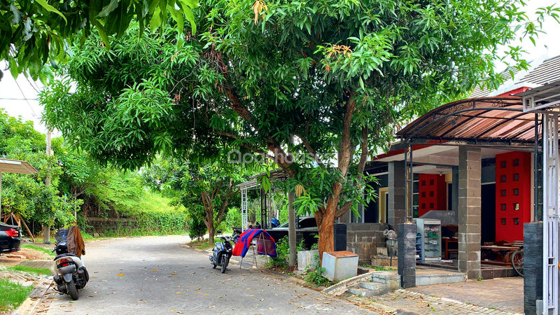 Cibubur Country Cluster Cornfield