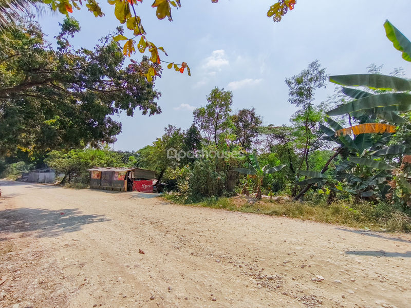 Jalan Kembang Kuning Bogor