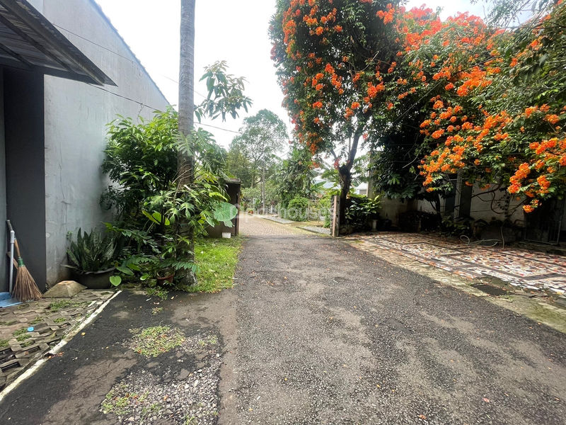 Jalan Flamboyan Raya No.19