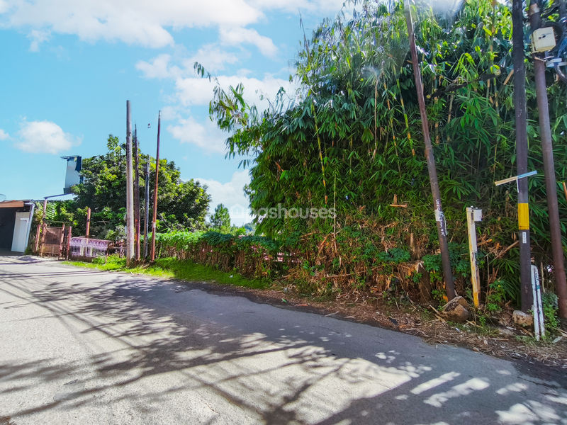 Jalan Kampung Pajeleran Cibinong