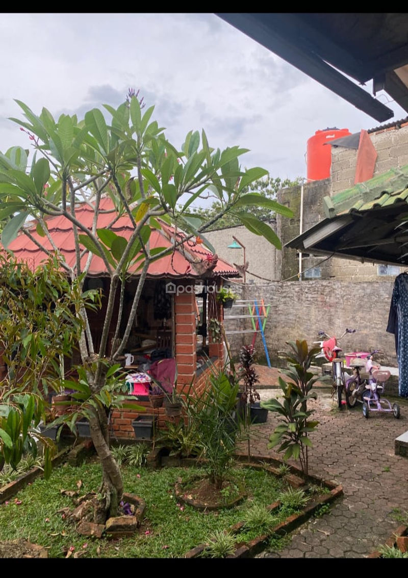Kampung Cisauk Erpak No.87