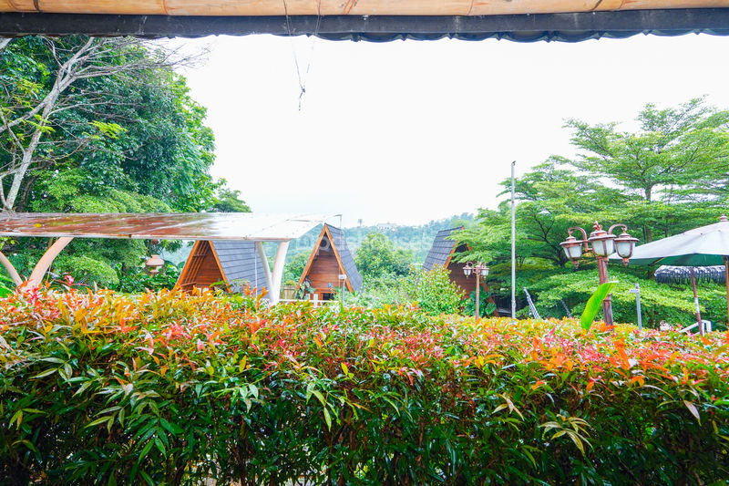Villa Saung Ibu Bogor