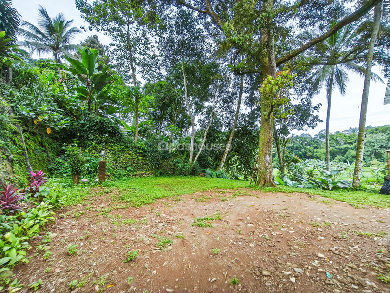 Kampung Ciliwung Riverside