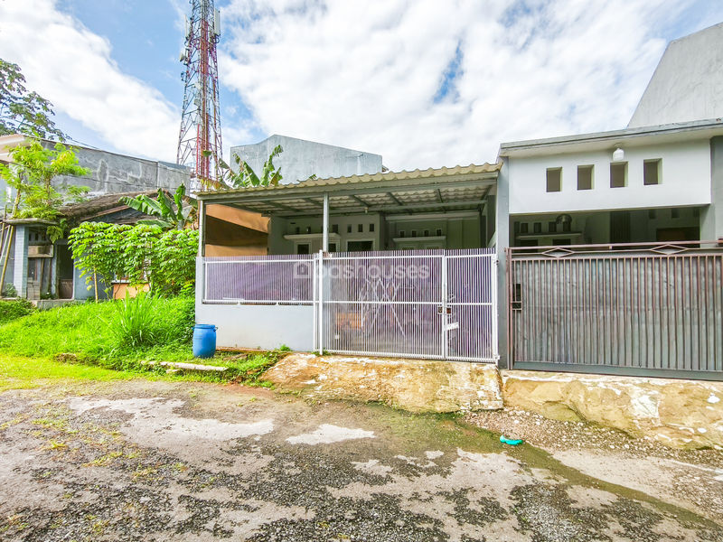 The Grand Sentul Cluster Primrose