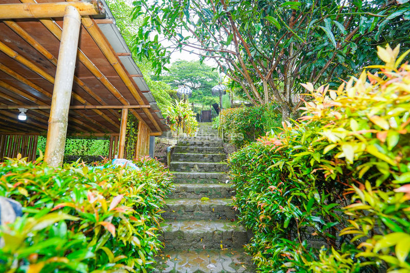 Villa Saung Ibu Bogor