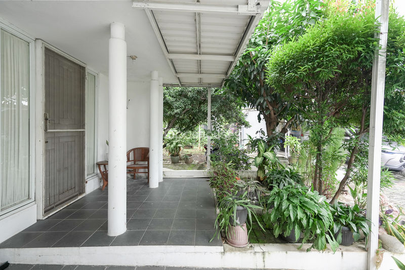 Springville Residence