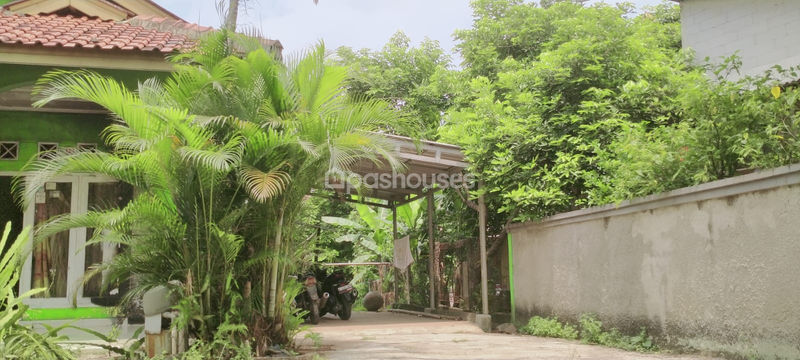 Serua Poncol