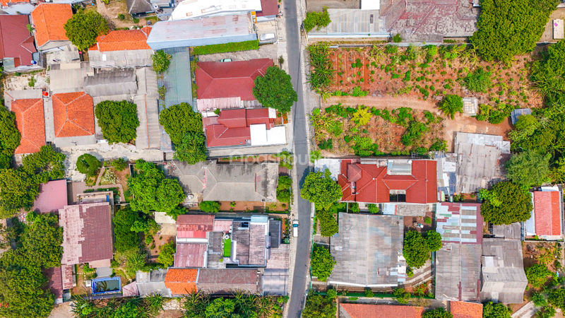 Jalan Mawar No. 9