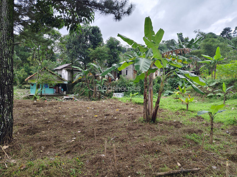 Jalan Raya Bojong Koneng