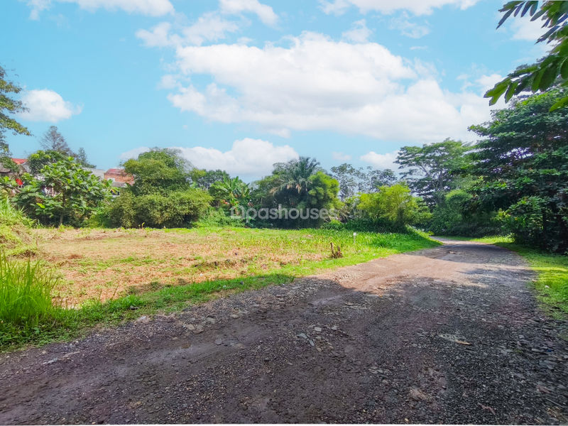 Jalan Cempaka Cihideung Ilir Bogor