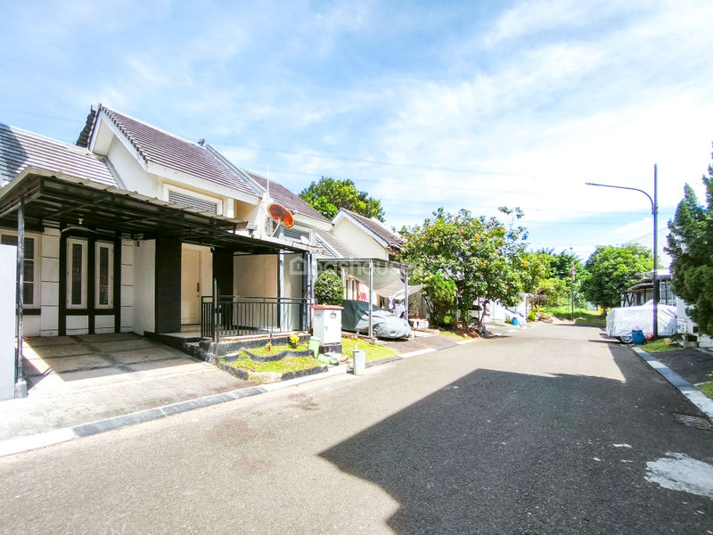 Legenda Wisata Zona Van Gogh