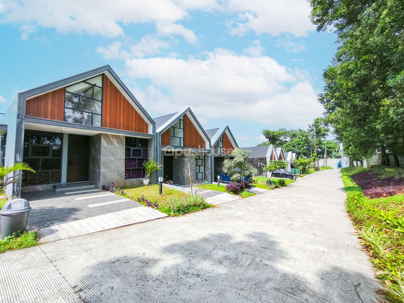 Cluster Golden Cikeas 