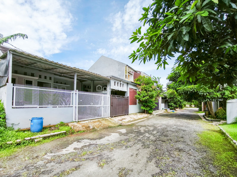 The Grand Sentul Cluster Primrose