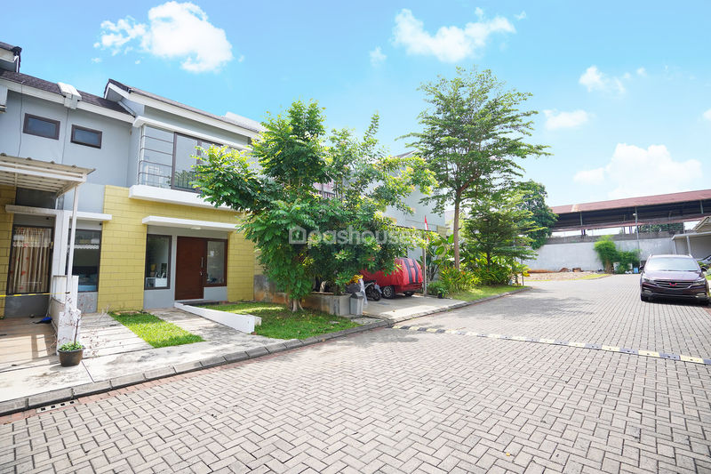 Premier Savanna Vida