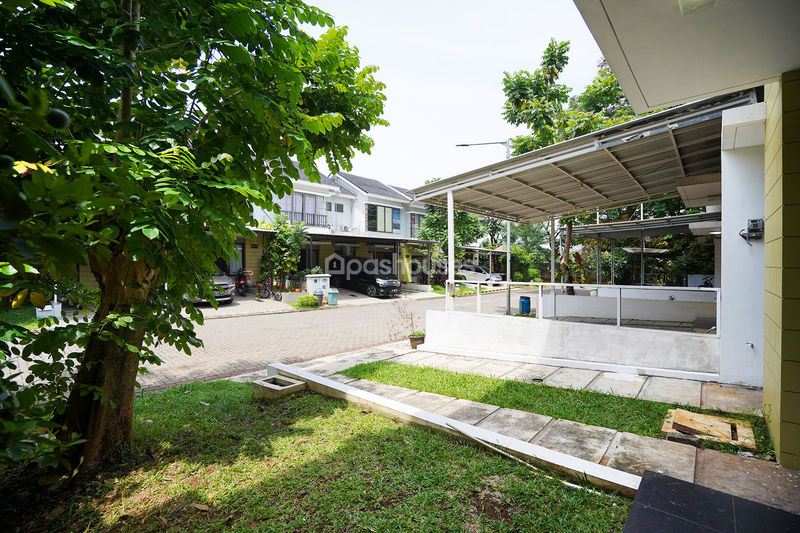 Premier Savanna Vida