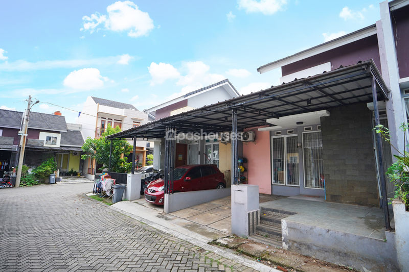 Palm Village