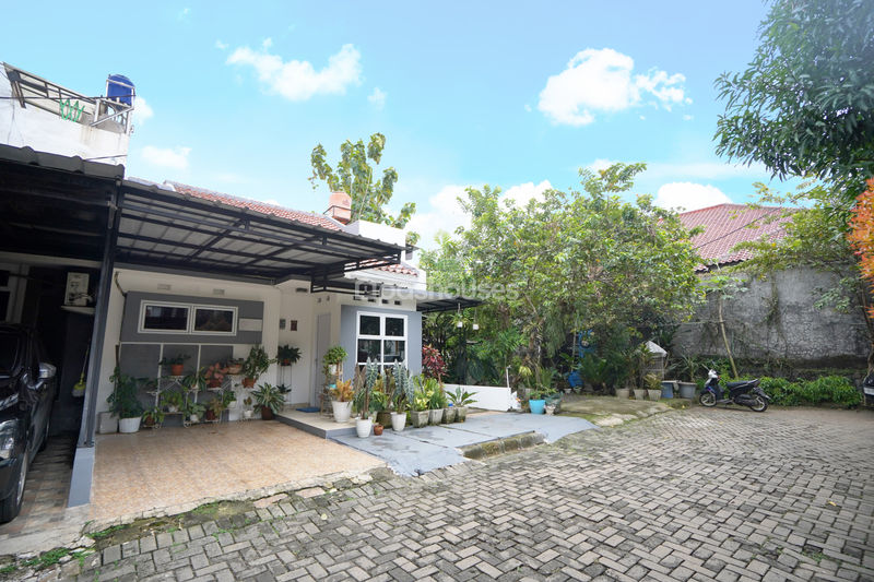 Orchid Green Village