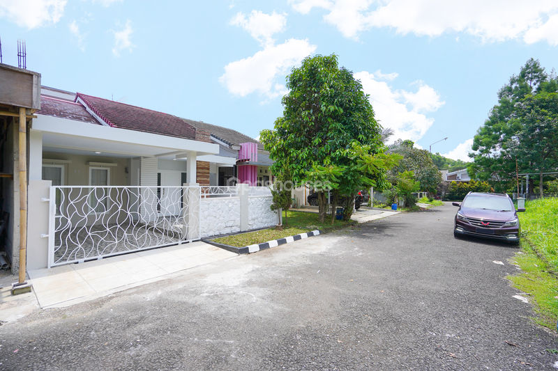 The Grand Sentul Cluster Holy