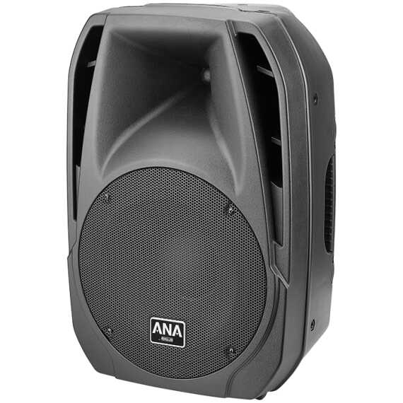 250 watt ahuja speaker