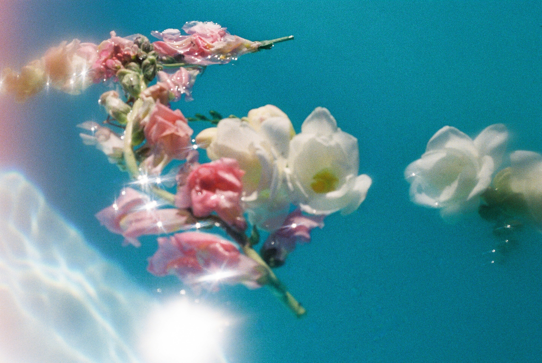 Let a thousand flowers bloom: why we need to be mindful of framework monoculture