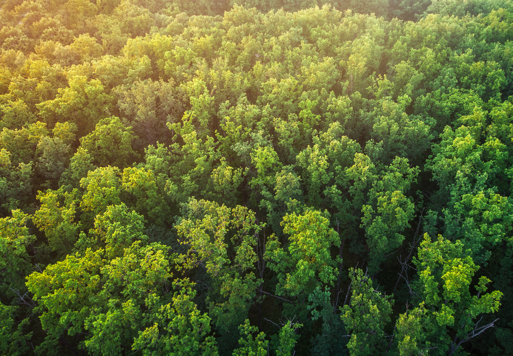 Climate Voices