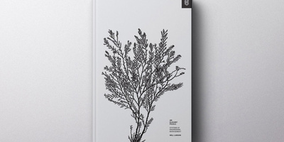 An Elegant Puzzle: Systems of Engineering Management