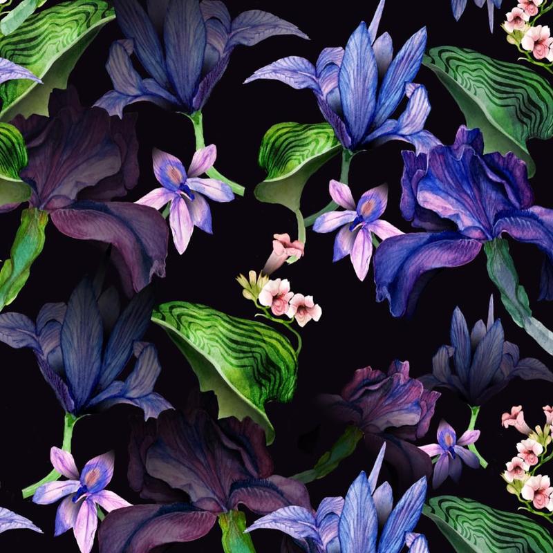 Pattern 3 by Solange Yepez