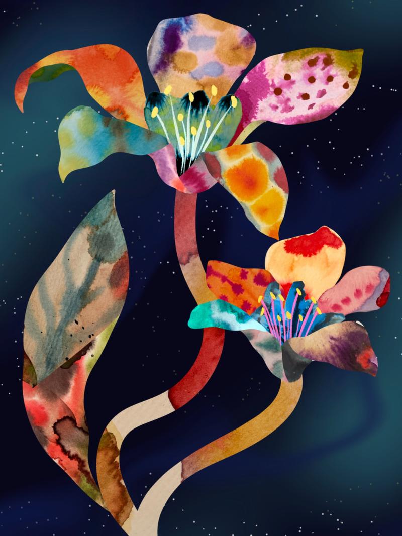 Placement 3 by Andreea Robescu
