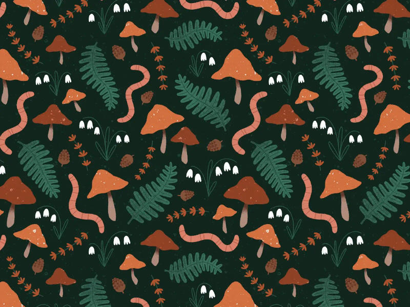 Pattern 3 by Clare Lewis