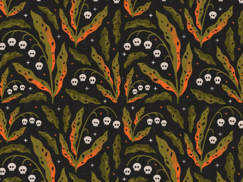 Pattern 5 by Clare Lewis