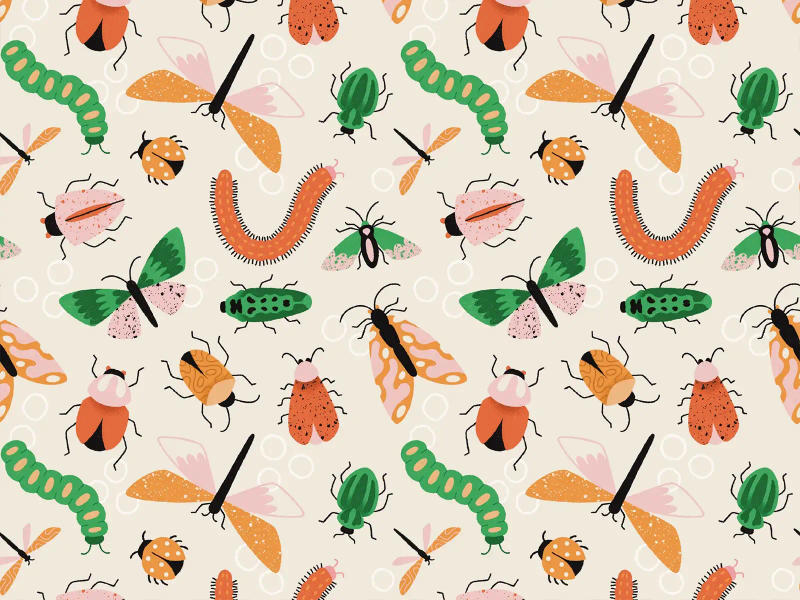 Pattern 7 by Clare Lewis