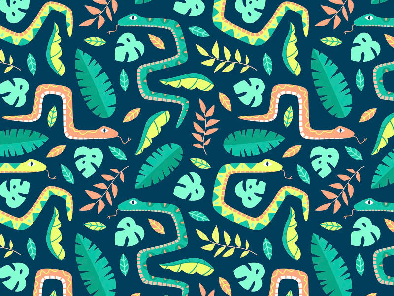 Pattern 8 by Clare Lewis