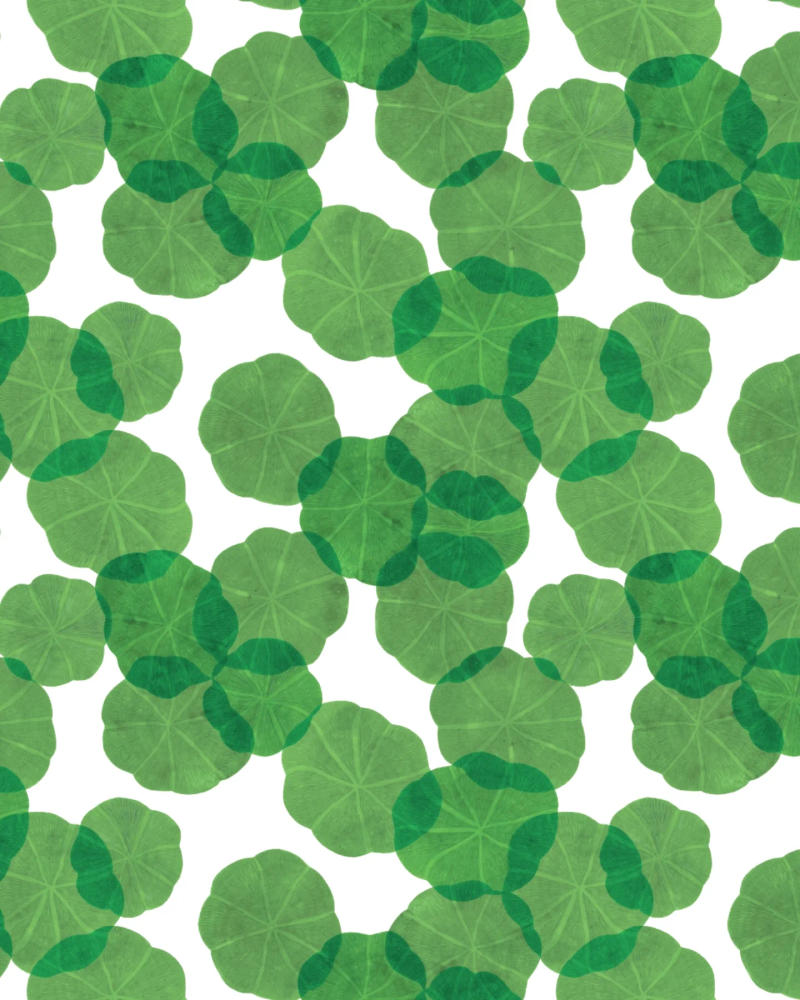 Pattern 3 by Claudia Fasser