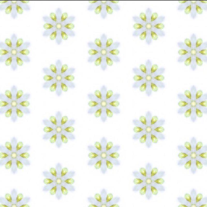Pattern 4 by Kelly Shipley