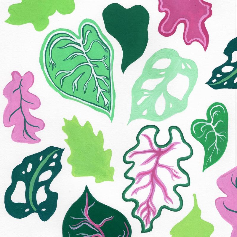 Pattern 2 by Ella Smith