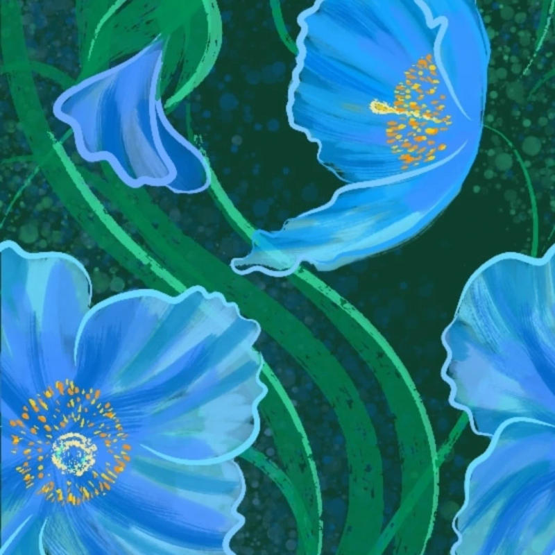 Pattern 2 by Emma Graham