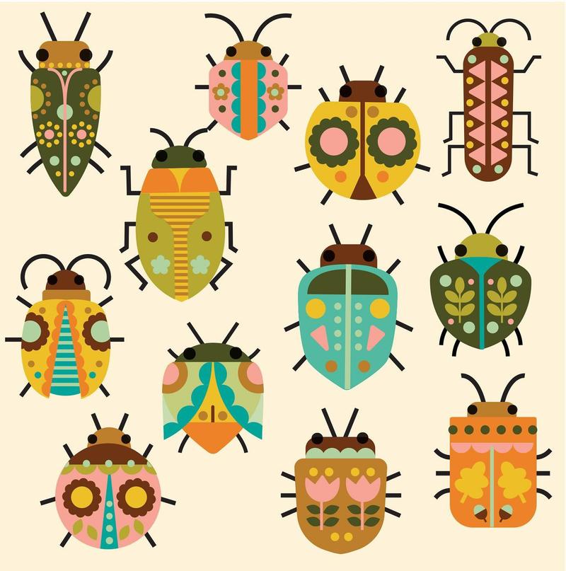 Pattern 8 by Fiona Powers