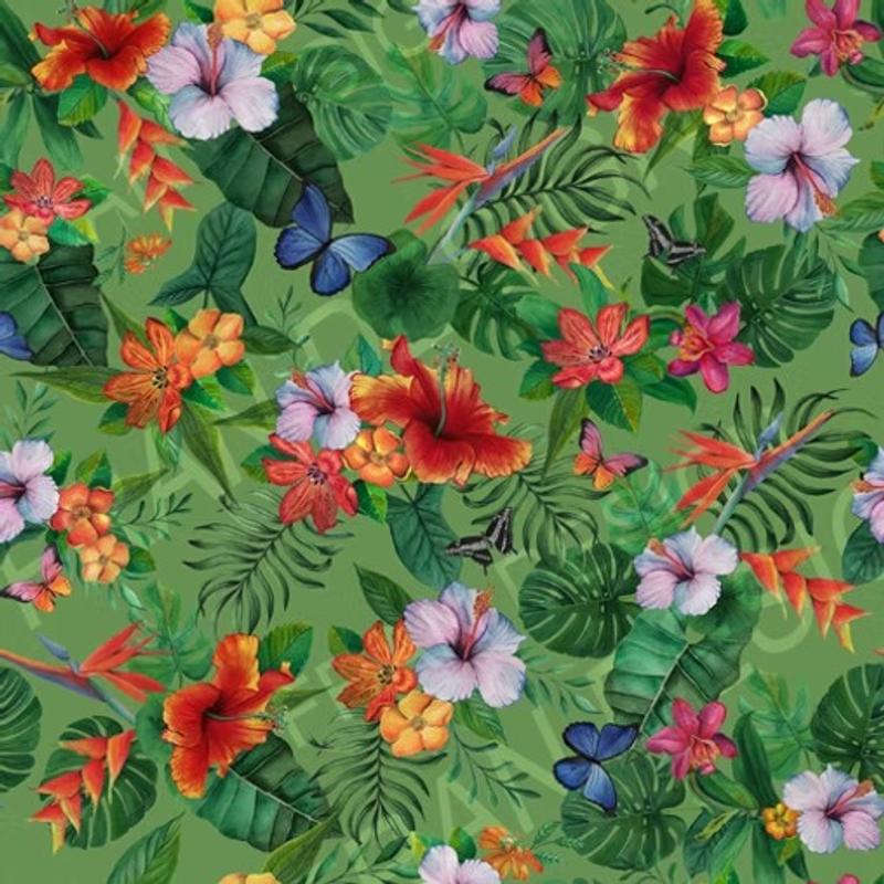 Pattern 6 by Francisca Bragança