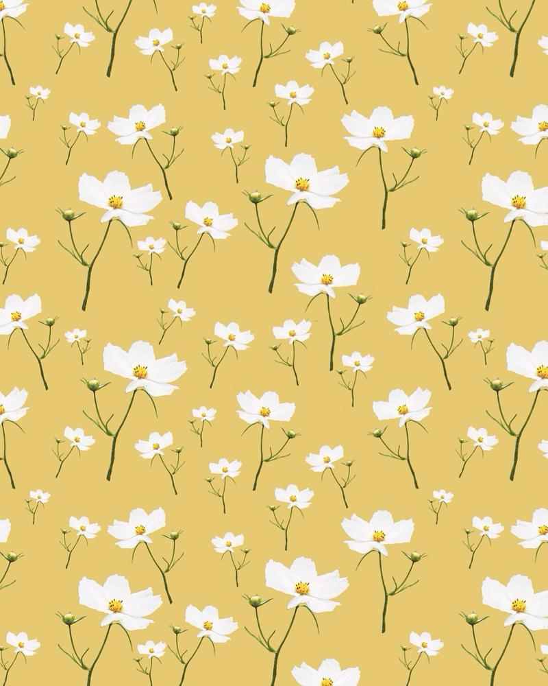 Pattern 6 by Kelly Rideout