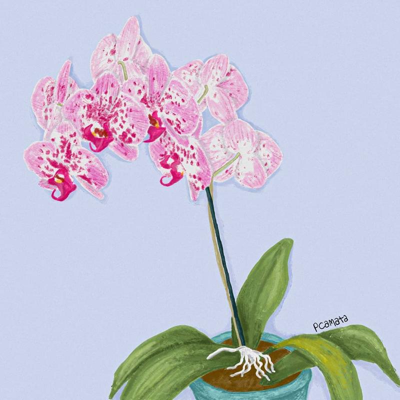 Placement 3 by Patricia Camata