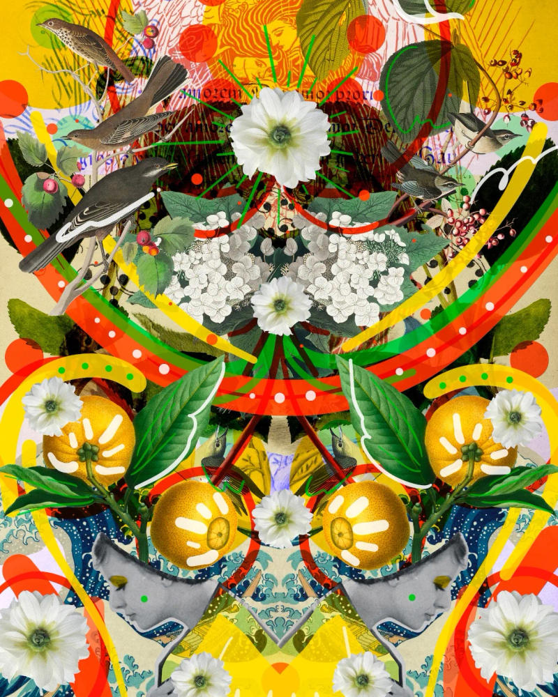 Pattern 2 by Carolina Fantozzi