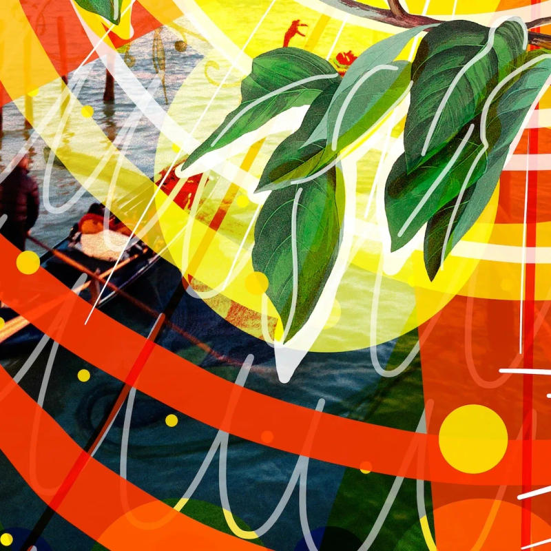 Pattern 5 by Carolina Fantozzi