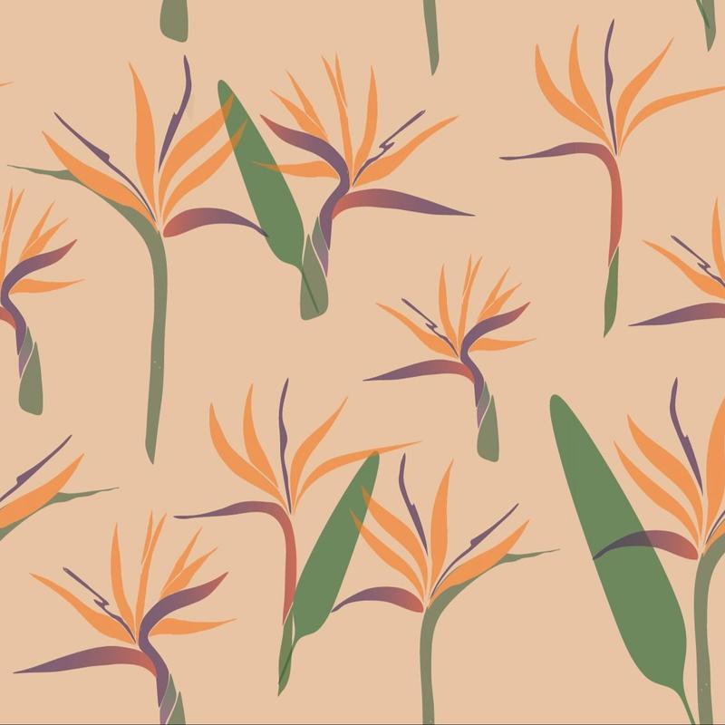 Pattern 1 by Sahar Ahmed